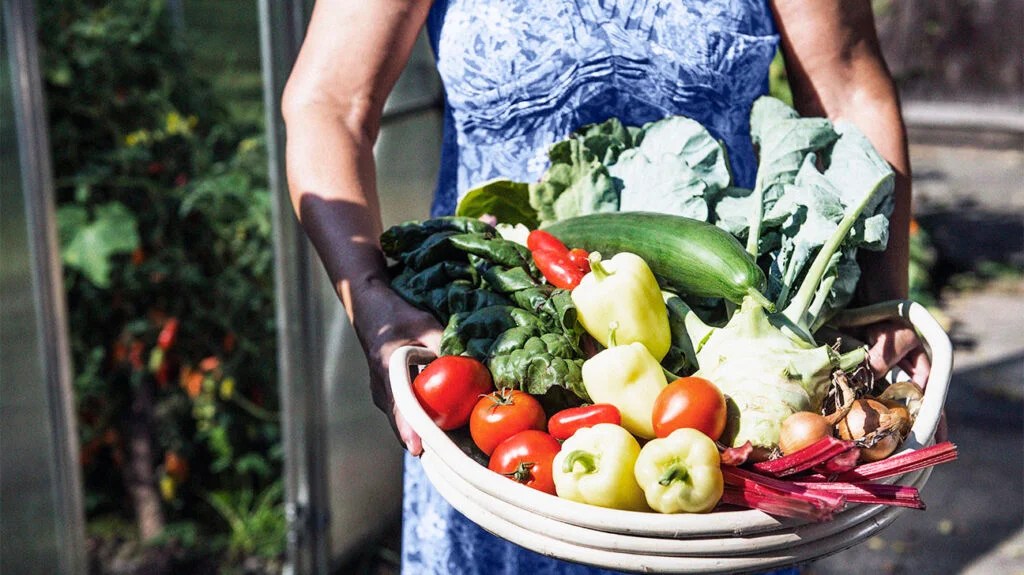 Senior woman with a basket of harvested vegetables in a garden, Altotting, Bavaria, Germany